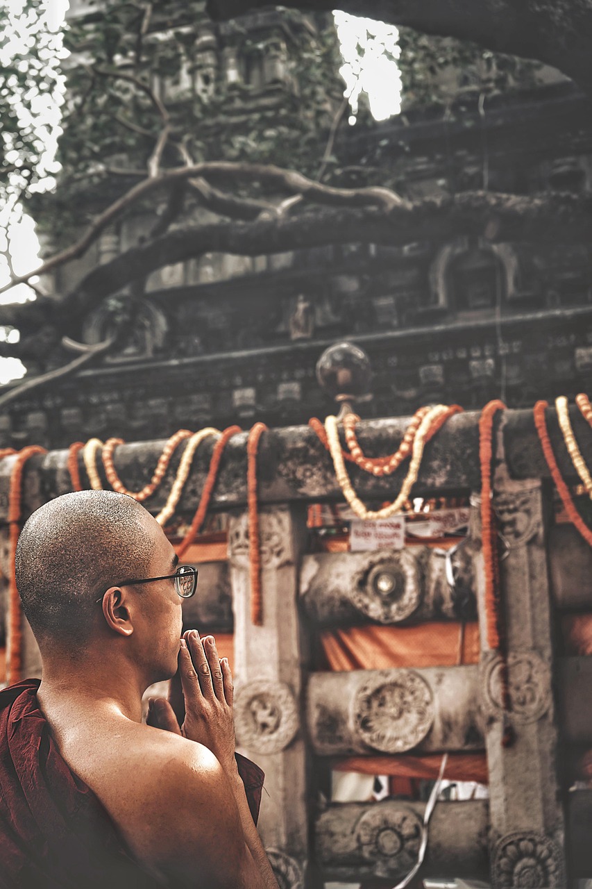 theravada, bhikkhu, india, pilgrimage, holy, religious, spiritual, religion, bodhgaya, faithful, buddhist, buddhism, sacred, worship, bodhgaya, bodhgaya, bodhgaya, bodhgaya, bodhgaya