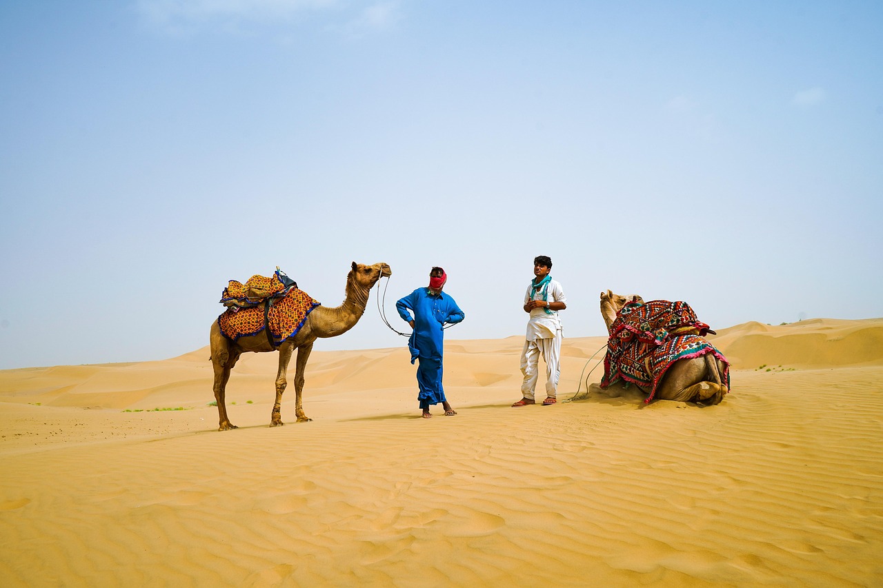 desert, camel, travel, transport, sand, dunes, men, rajasthan, jaipur, india, rajasthan, rajasthan, rajasthan, rajasthan, rajasthan, jaipur, nature, jaipur