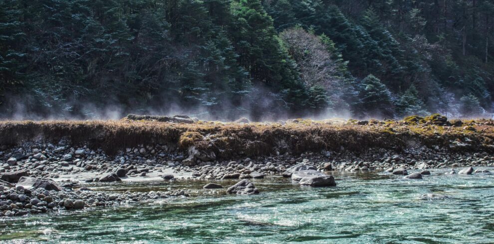 Crystal clear river flowing through Yumthang Valley, SK, India, surrounded by lush evergreen forests.