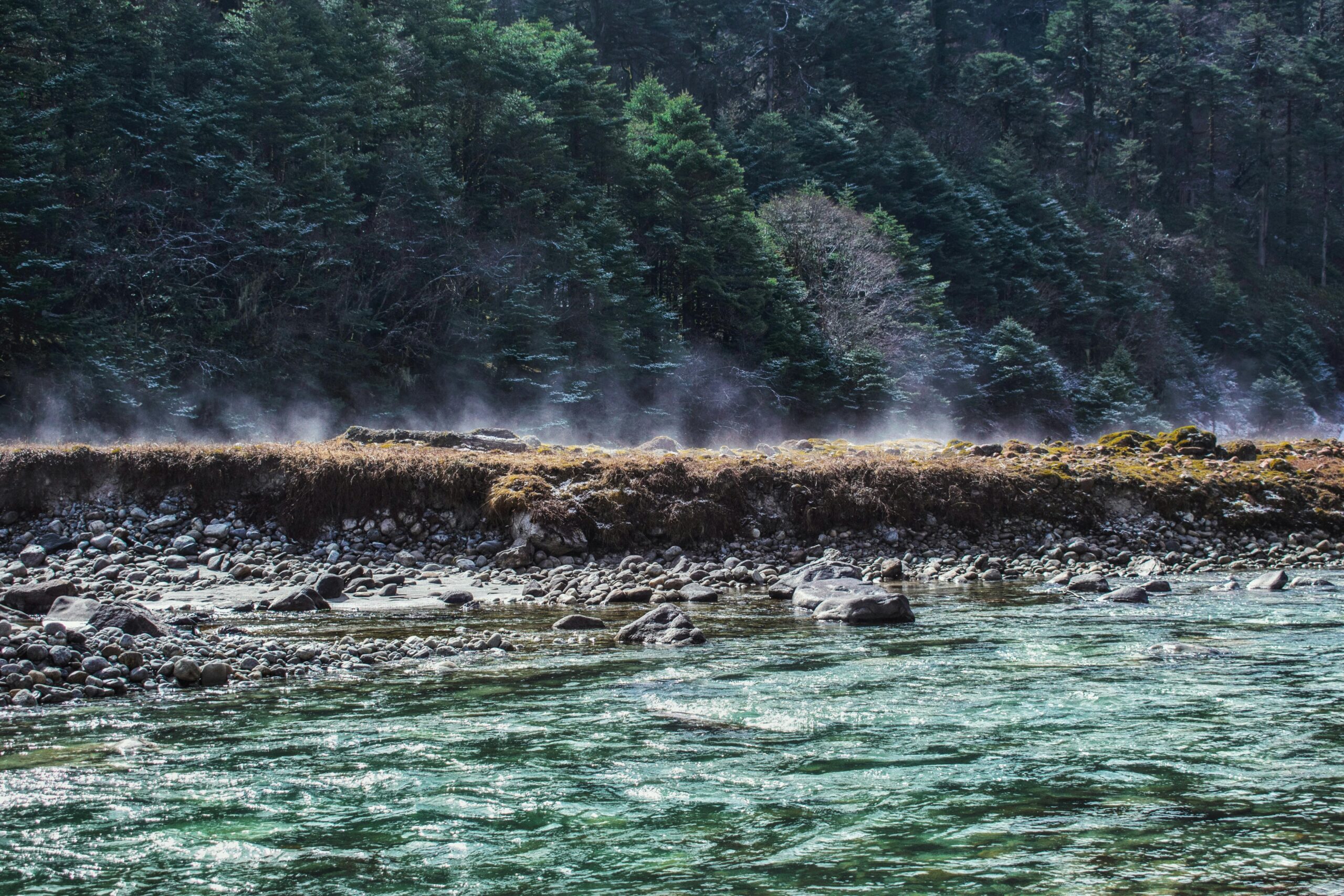 Crystal clear river flowing through Yumthang Valley, SK, India, surrounded by lush evergreen forests.
